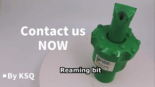 রিমিং বিট